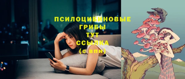 гидра Балабаново