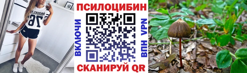 дарнет шоп shop Telegram Галлюциногенные грибы мицелий Североуральск blacksprut как войти
